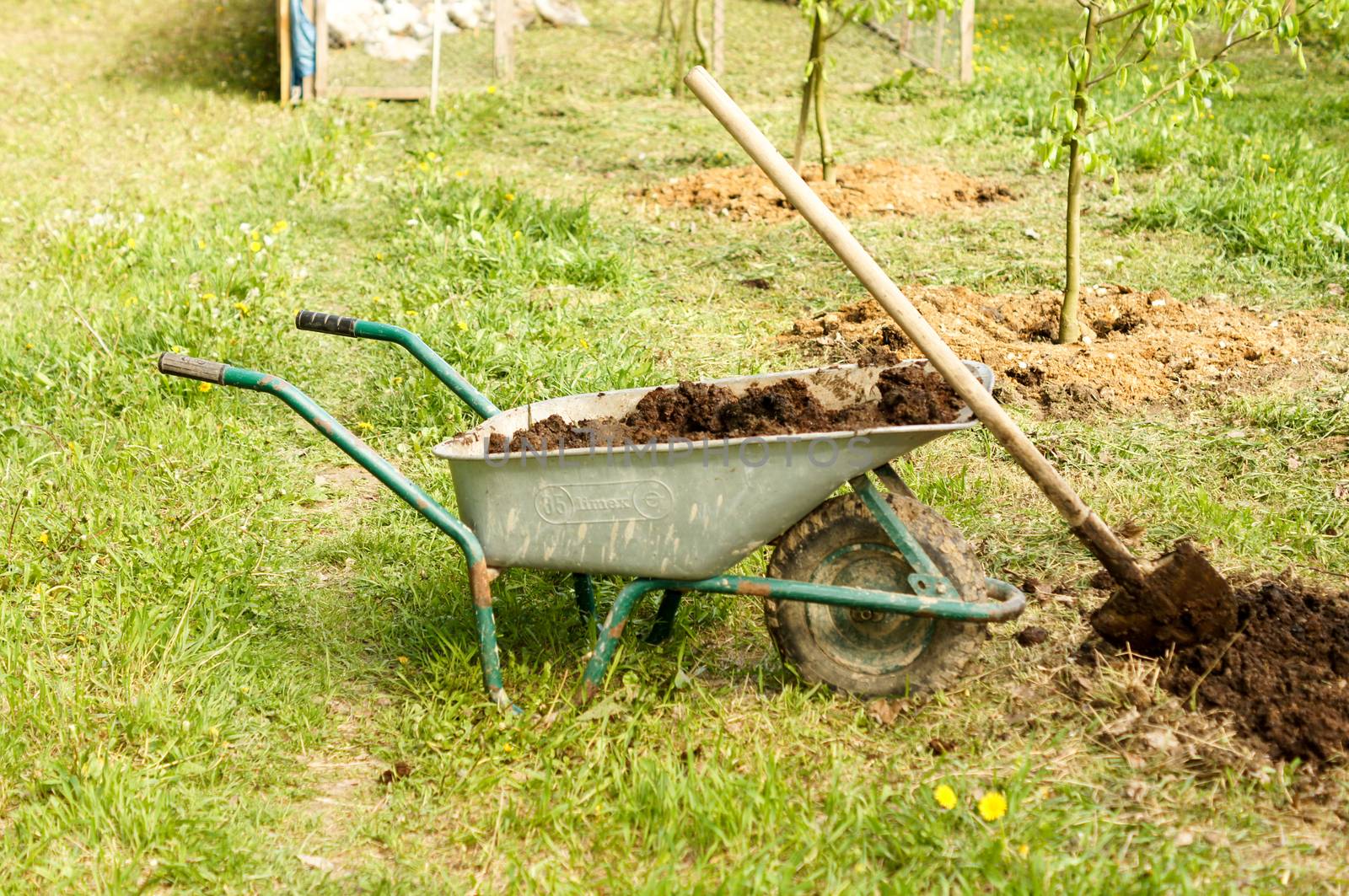 Wheelbarrow with fertilizer and shovel during the seasonal planting of agriculture by Adamchuk