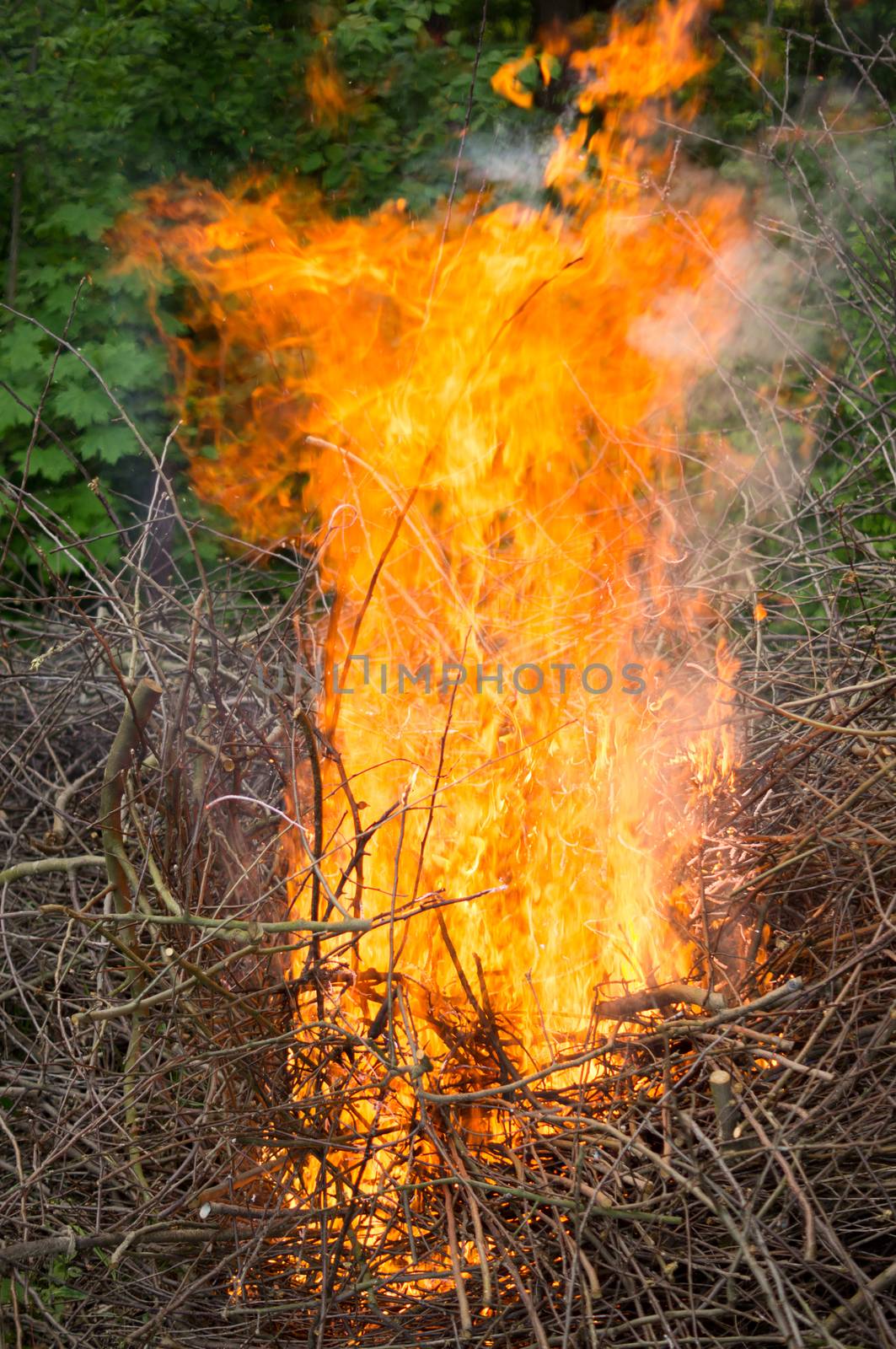 Bright big bonfire while burning a large number of garbage branches .For your design