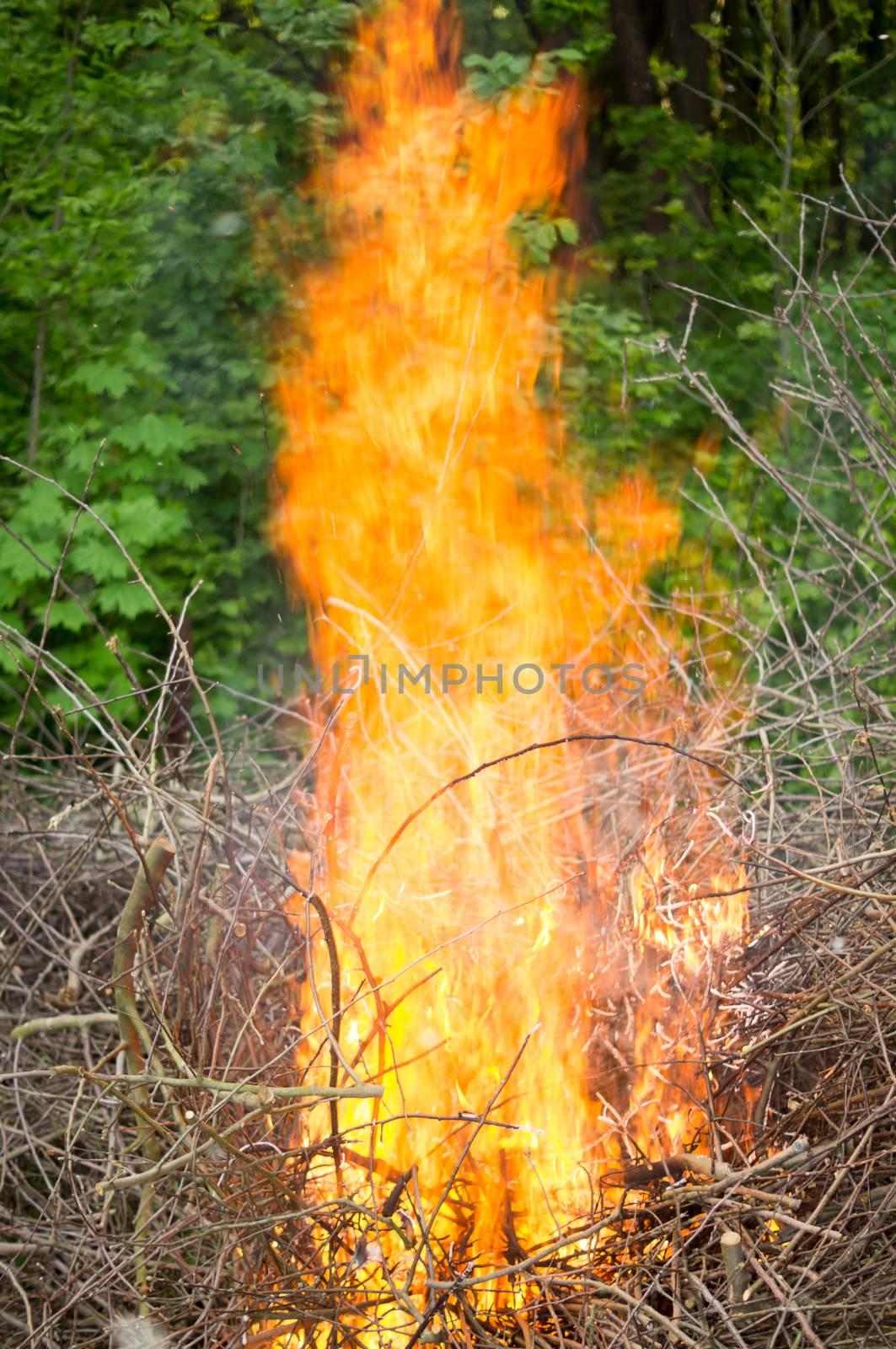 Bright big bonfire while burning a large number of garbage branches by Adamchuk