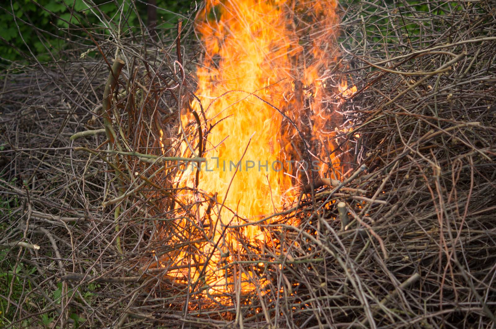 Bright big bonfire while burning a large number of garbage branches by Adamchuk