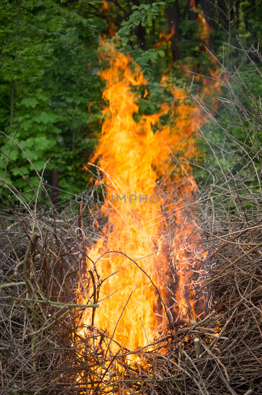 Bright big bonfire while burning a large number of garbage branches by Adamchuk