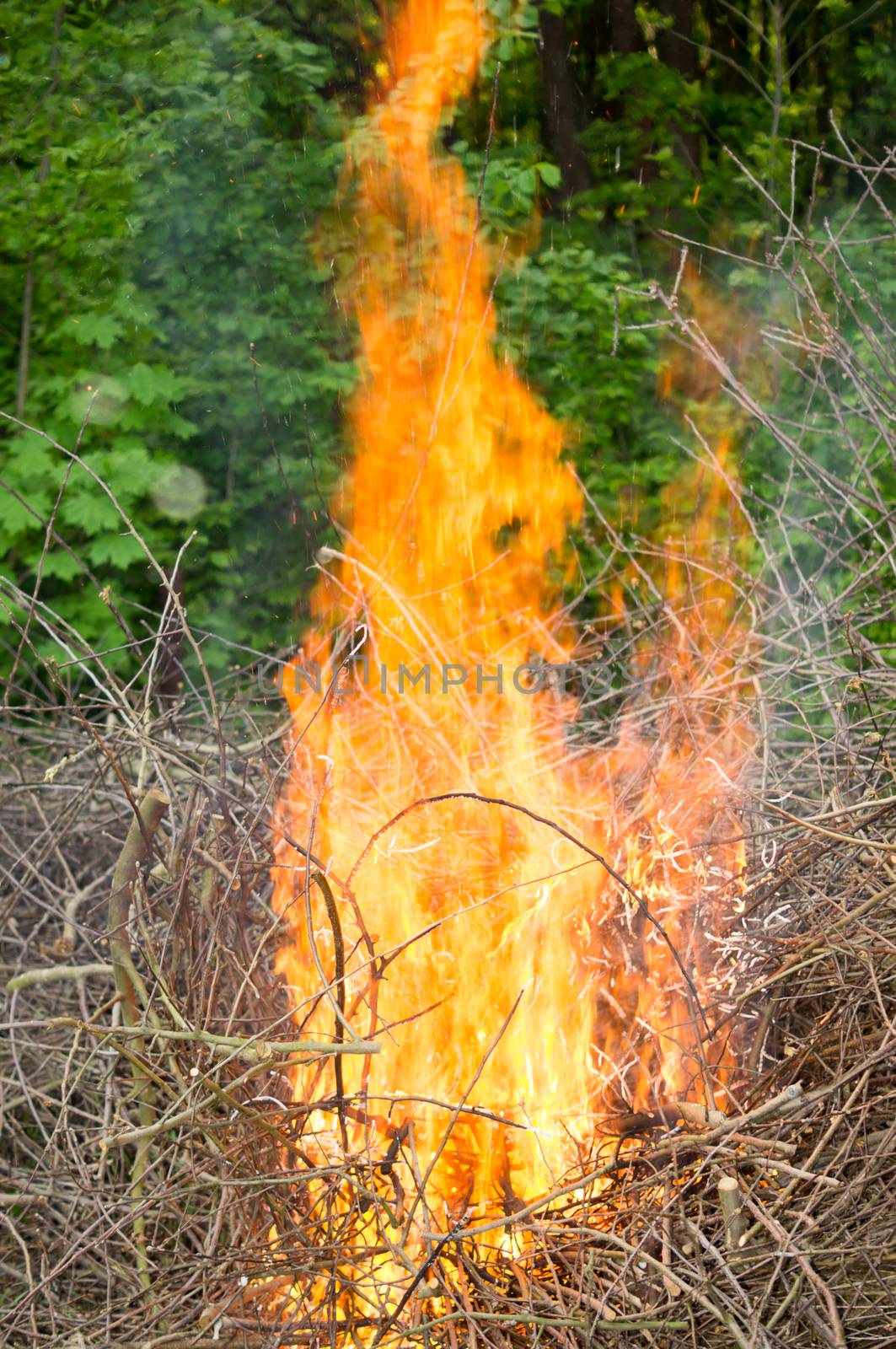 Bright big bonfire while burning a large number of garbage branches by Adamchuk