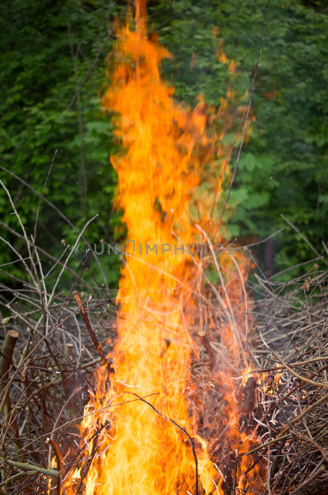 Bright big bonfire while burning a large number of garbage branches by Adamchuk
