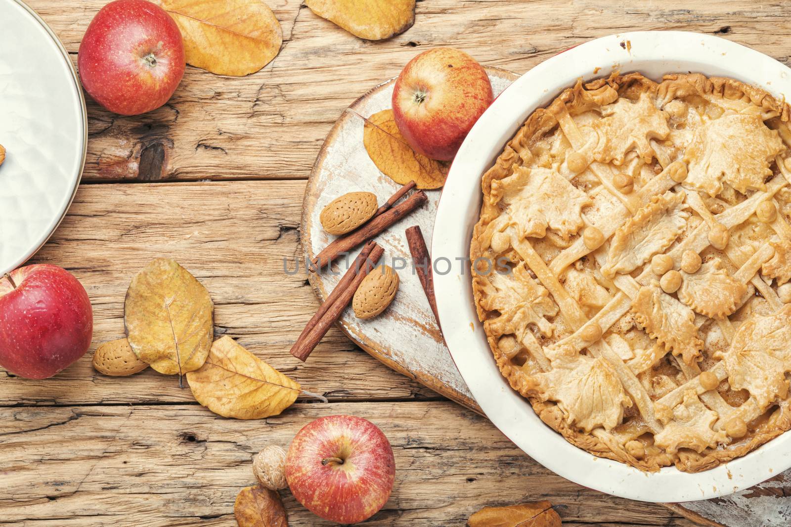 Autumn homemade pie with ripe apples.American apple dessert