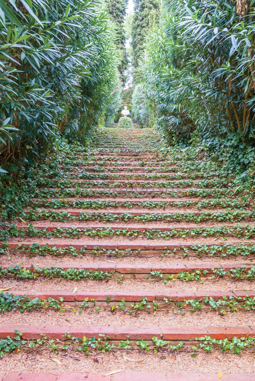 Beautiful landscape with decorative covered with ivy step ladder in the garden. by Zhukow