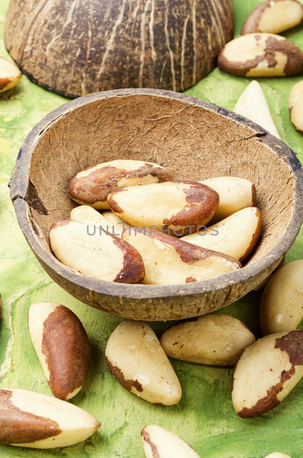 Brazil nut or bertholletia by LMykola