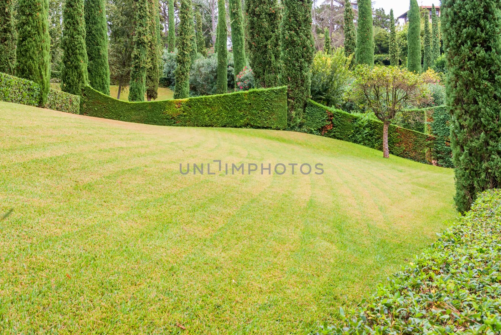 Beautiful landscape with exactly trimmed grass and decorative bushes. Costa Brava, Spain. by Zhukow
