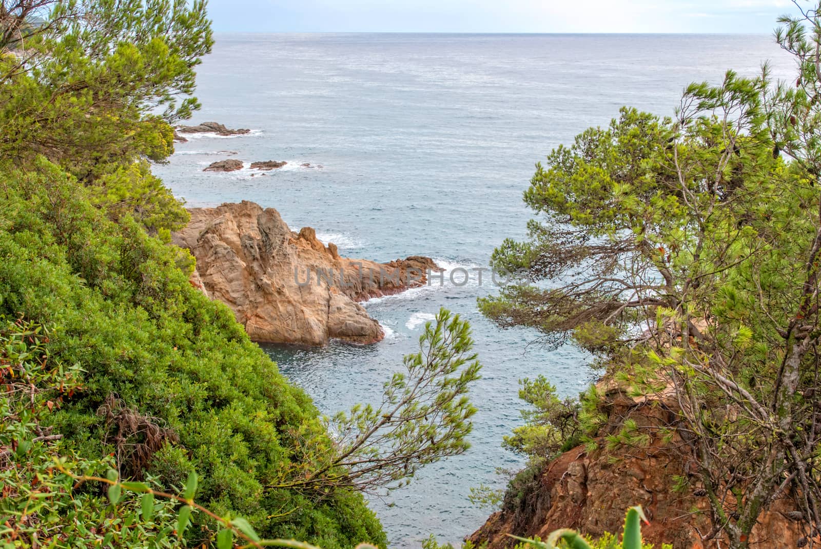 Sea view from Santa Clotilde gardens, Catalonia by Zhukow