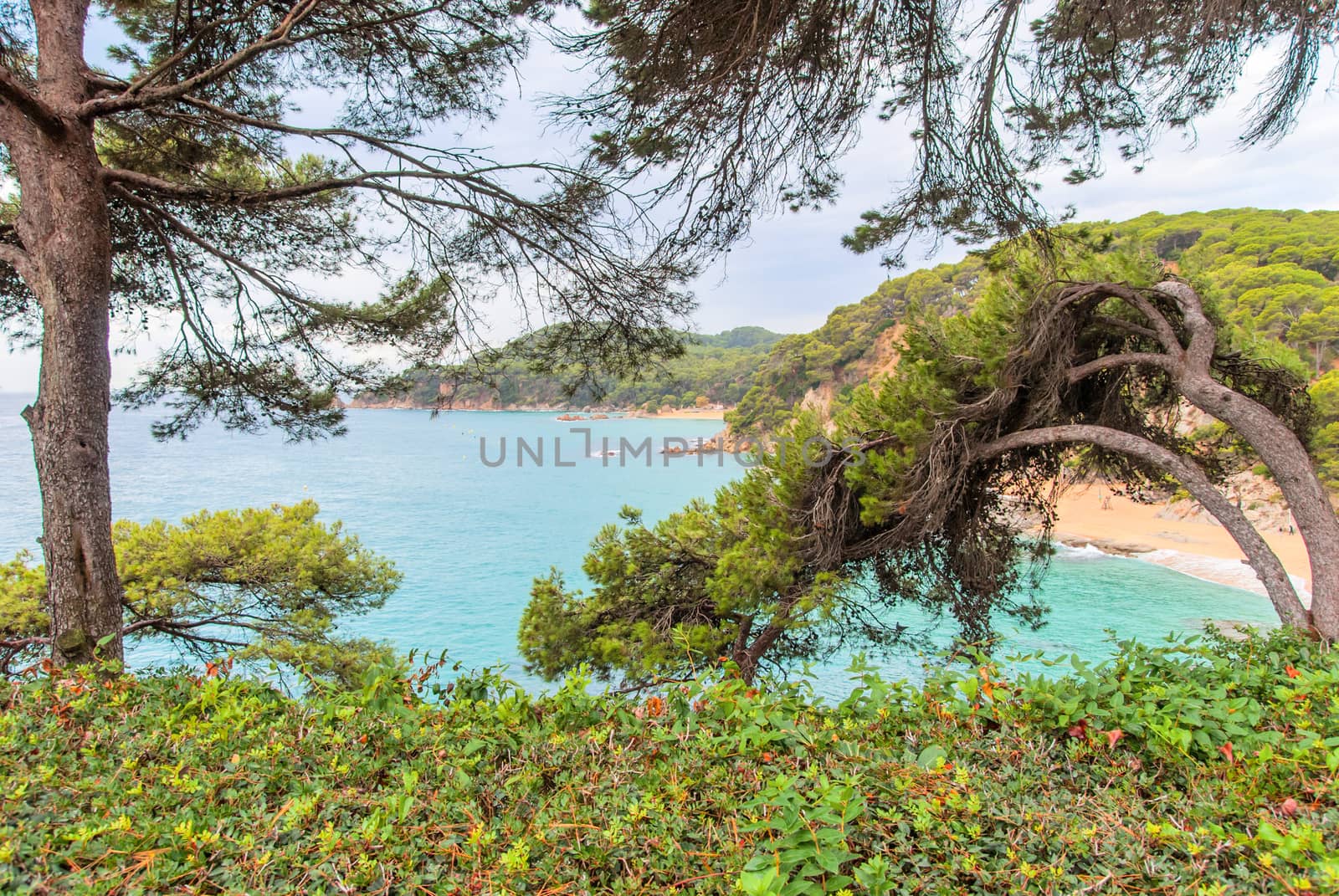 Sea view from Santa Clotilde gardens, Catalonia. Spain