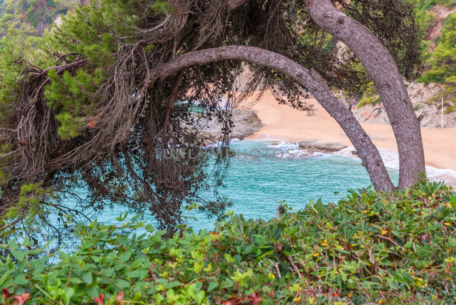 Sea view from Santa Clotilde gardens, Catalonia. Spain