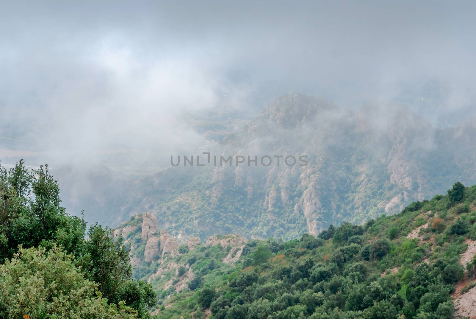 Mountains near Montserrat Abbey in Spain. Clouds and fog. Trees on cliffs. by Zhukow