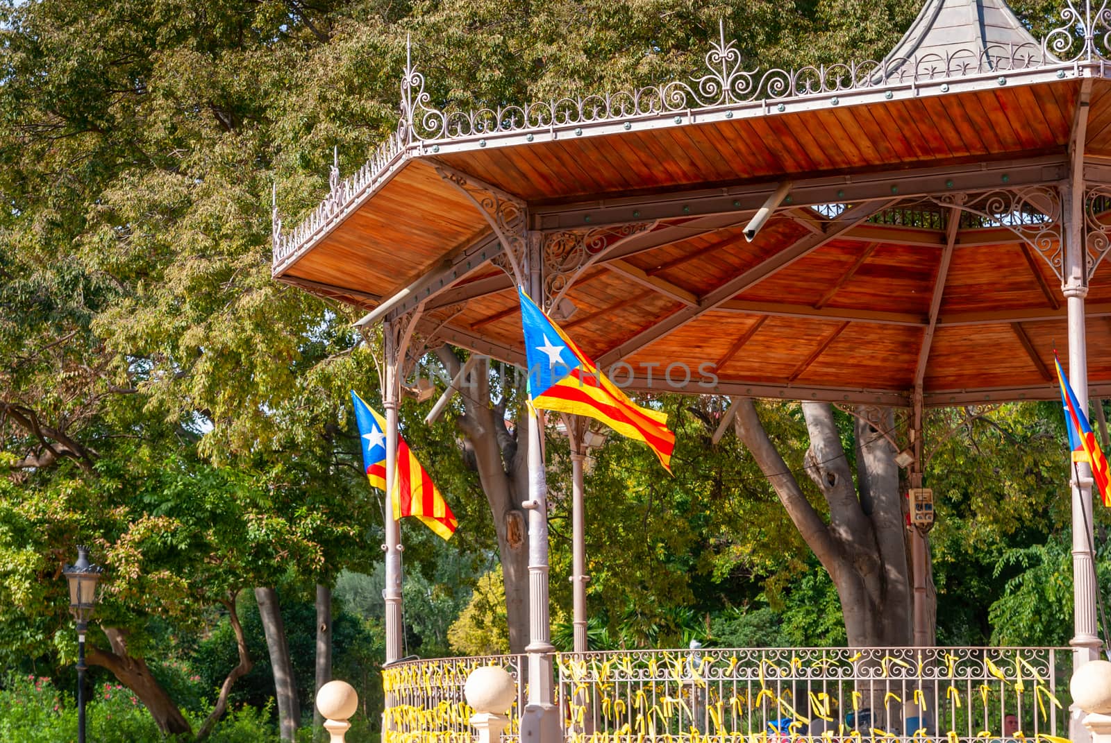 Catalan flag at Citadel Park. Barcelona by Zhukow