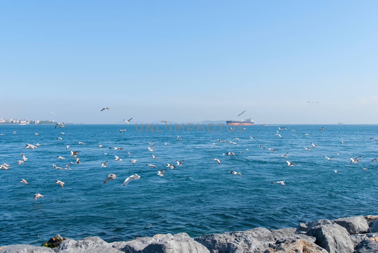 Ships and seagulls on Istanbul Bosphorus sea, Turkey