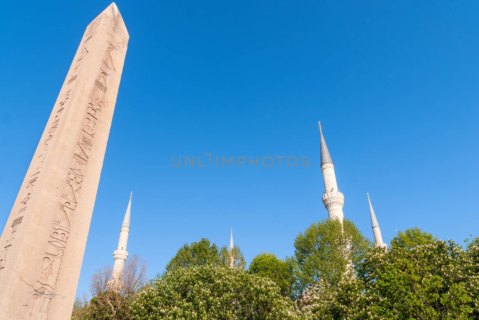 Minaret of Blue Mosque and Egyptian Column, Istanbul Turkey