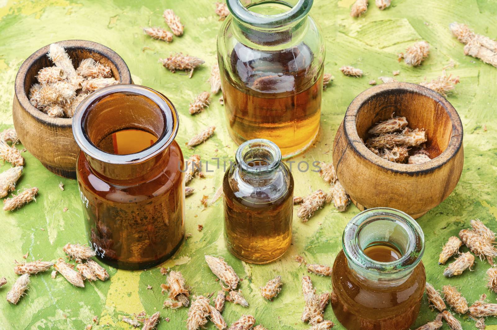 Bottles of tincture of pine buds by LMykola