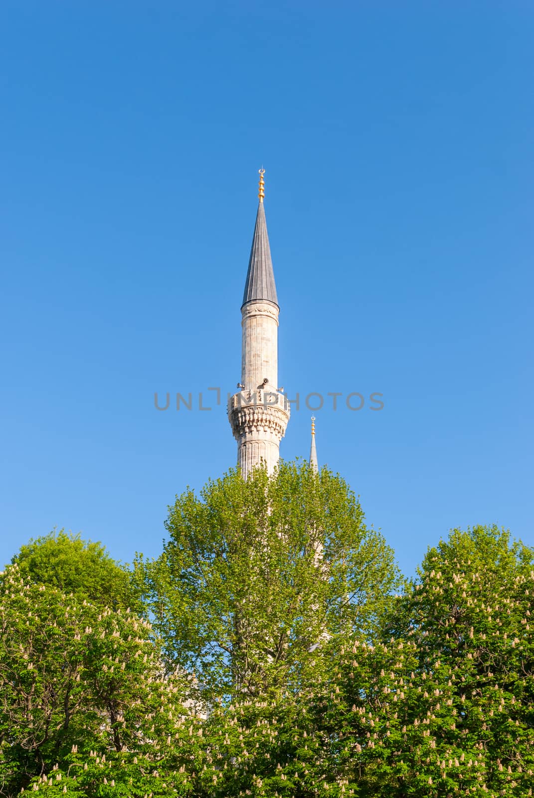 Minaret of Blue Mosque, Sultanahmet Camii , Istanbul Turkey