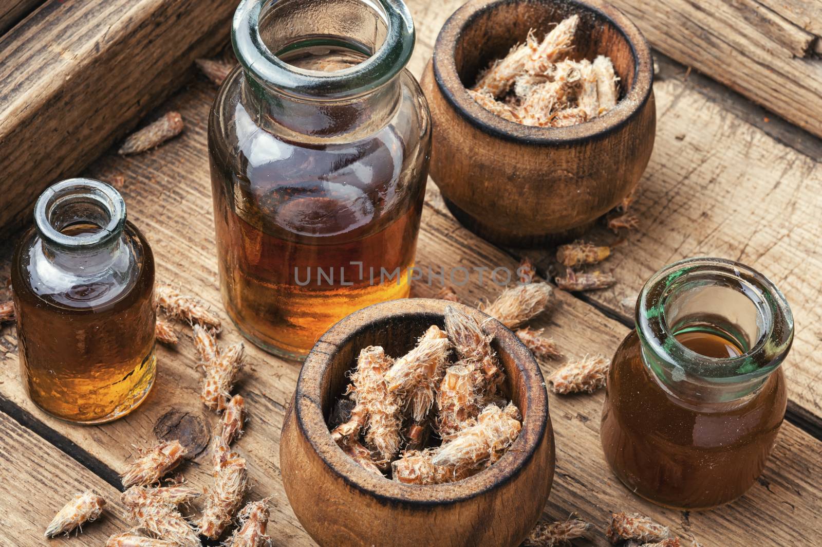 Healing decoction from pine kidneys.Dried pine buds.Herbal medicine
