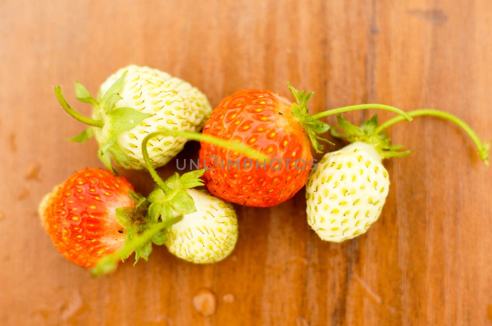 White and red strawberries lie in the sun. Delicious and sweet dessert berry. Vitamins by Adamchuk