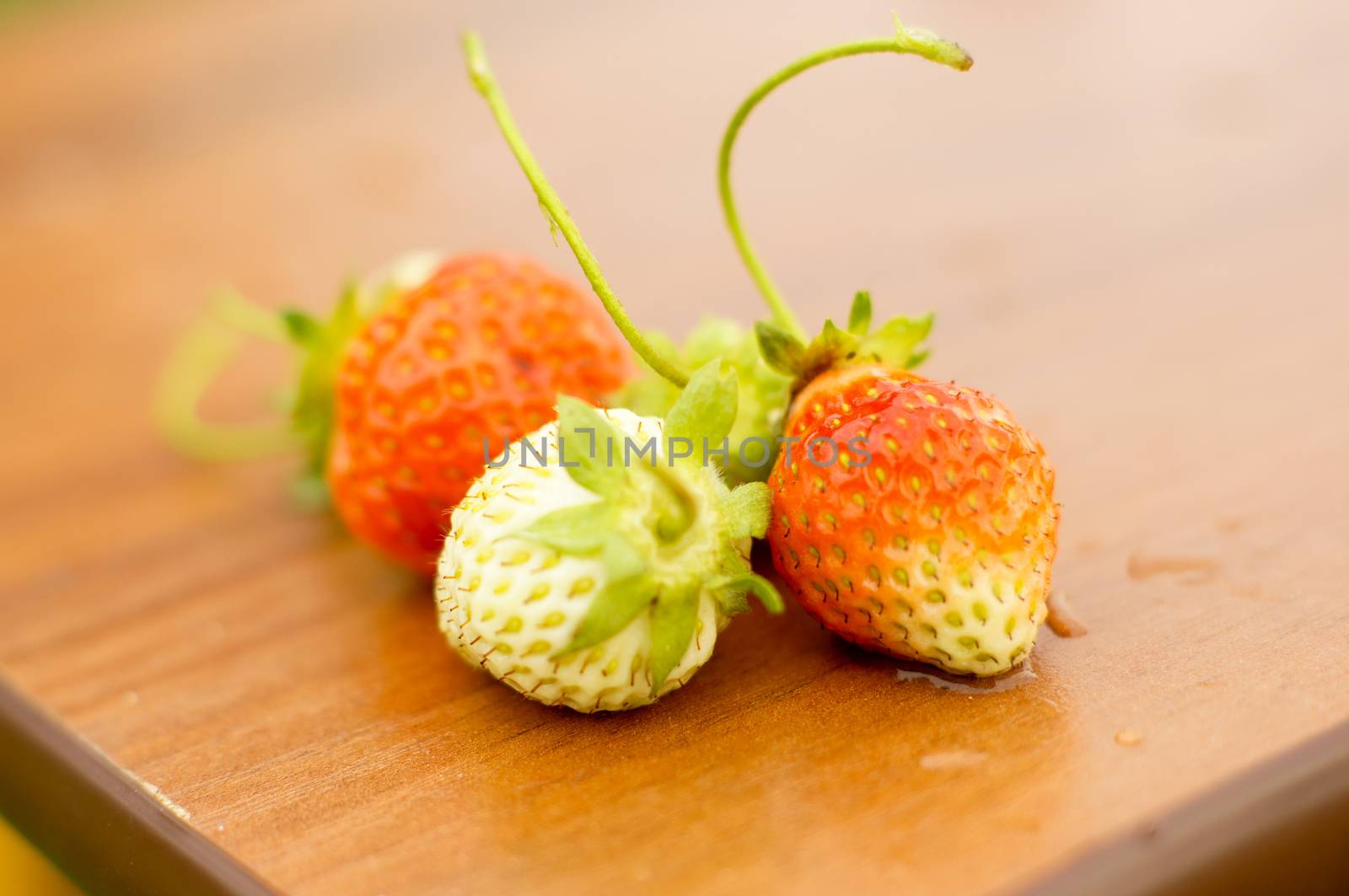 White and red strawberries lie in the sun. Delicious and sweet dessert berry. Vitamins by Adamchuk