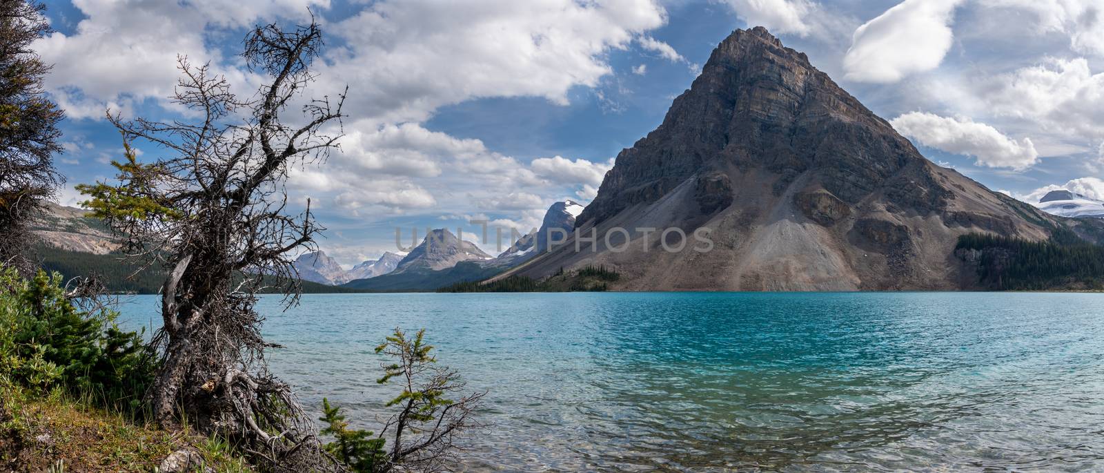 Beautiful Bow Lake on a sunny day, Icefield Parkway, Banff National Park, Alberta, Canada