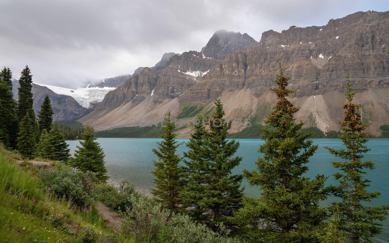 Beautiful Bow Lake on a cloudy day, Icefield Parkway, Banff National Park, Alberta, Canada