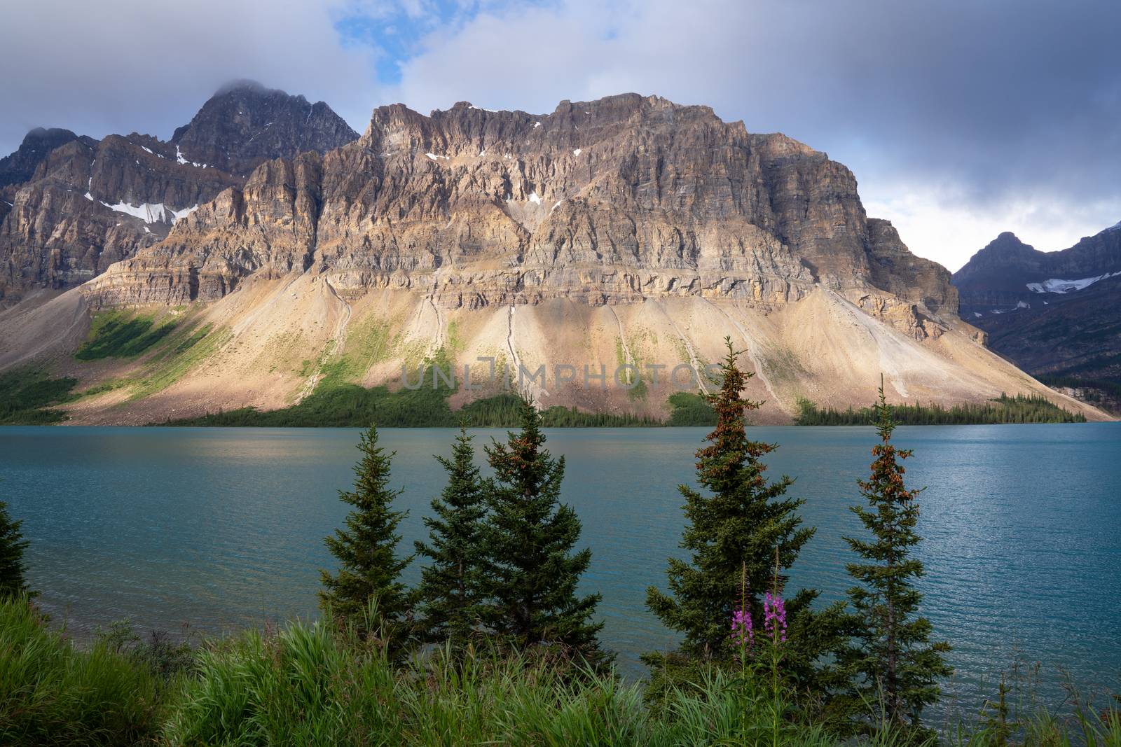 Beautiful Bow Lake on a cloudy day, Icefield Parkway, Banff National Park, Alberta, Canada