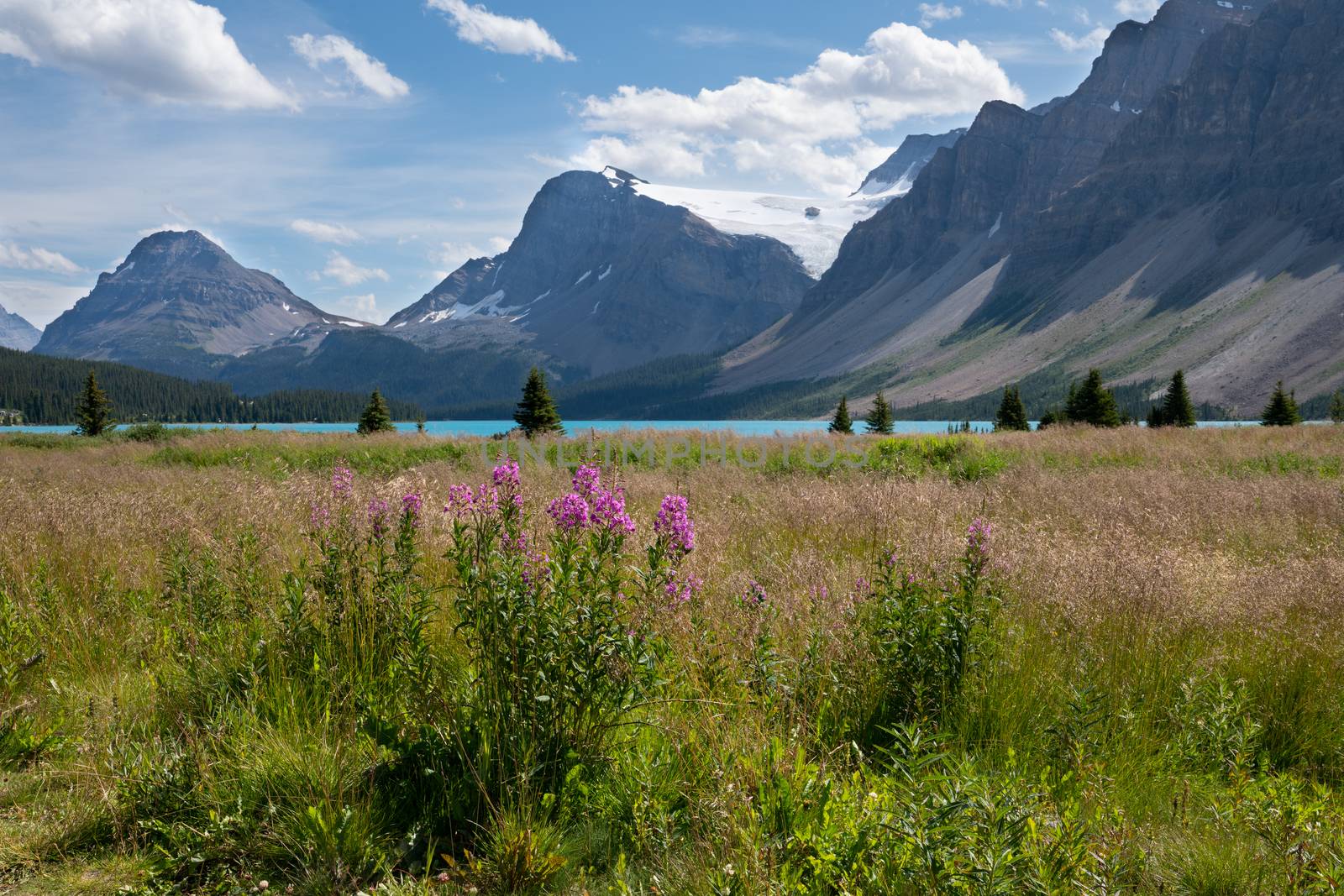 Beautiful Bow Lake on a sunny day, Icefield Parkway, Banff National Park, Alberta, Canada