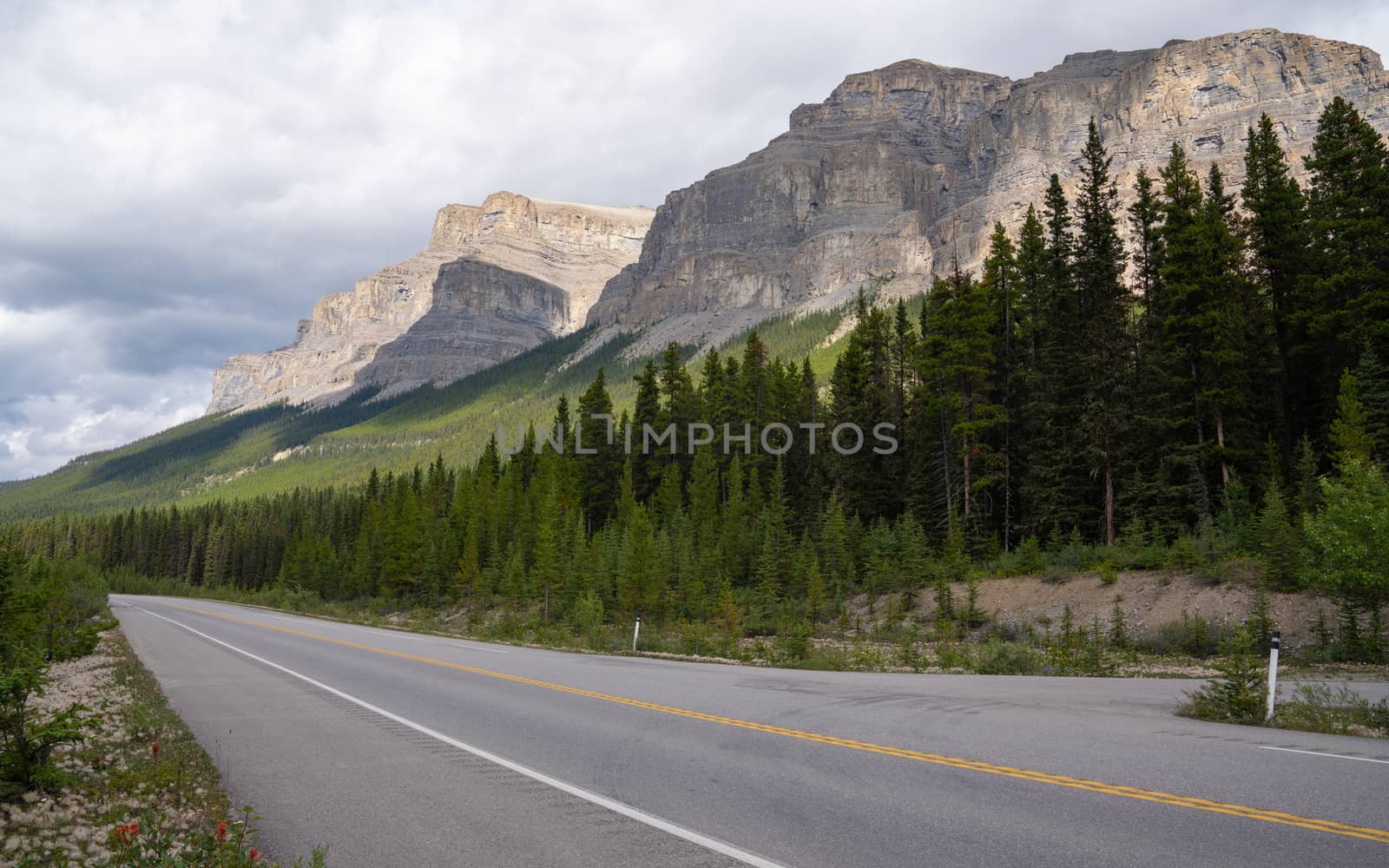 Panoramic image of the Icefield Parkway, Banff National Park, Alberta, Canada