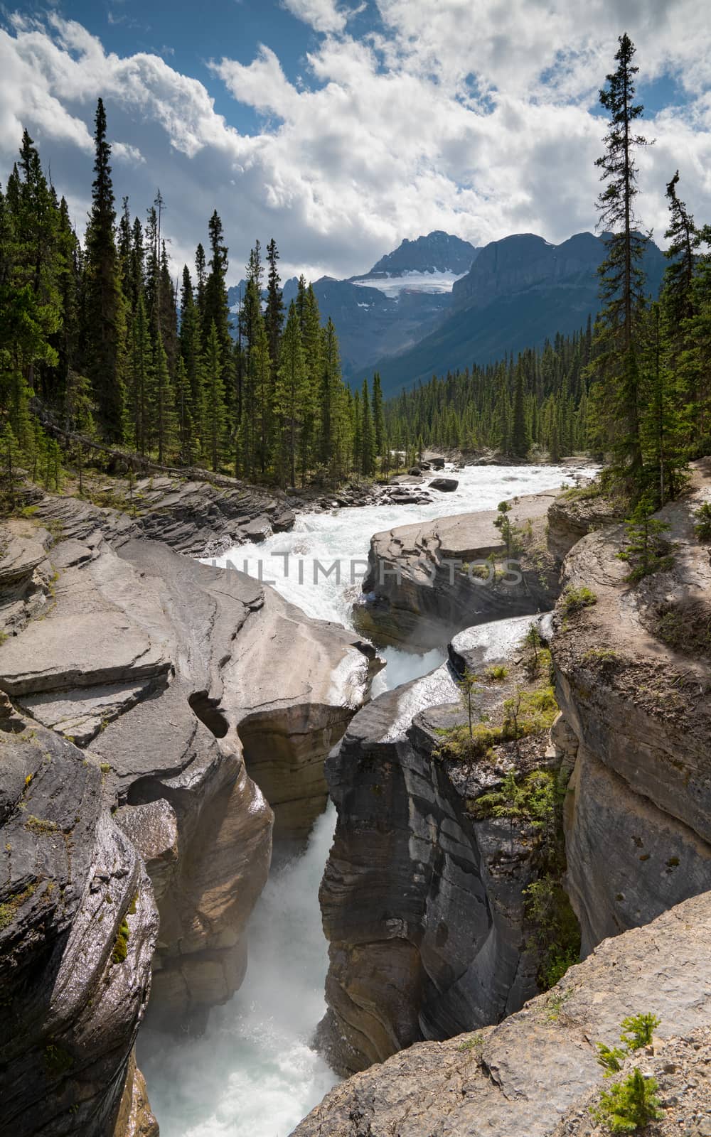 Banff National Park, Icefield Parkway, Alberta, Canada by alfotokunst