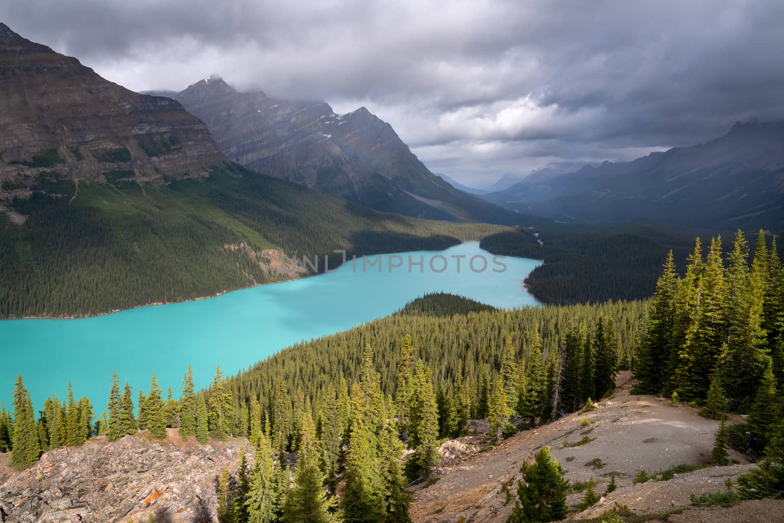 Beautiful Peyto Lake on a cloudy day, Icefield Parkway, Banff National Park, Alberta, Canada