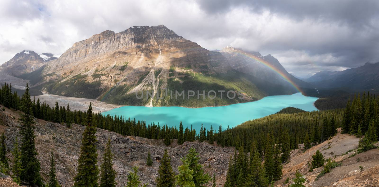 Icefield Parkway, Banff National Park, Alberta, Canada by alfotokunst