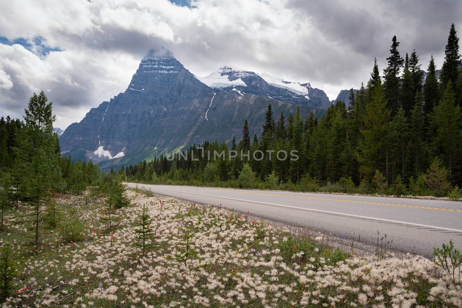 Panoramic image of the Icefield Parkway, Banff National Park, Alberta, Canada