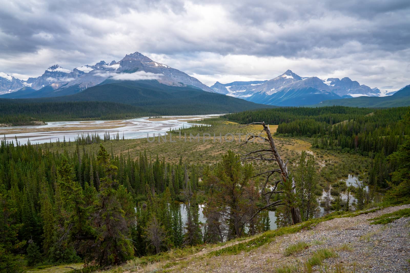 Panoramic image of the Saskatchewan River, Icefield Parkway, Banff National Park, Alberta, Canada