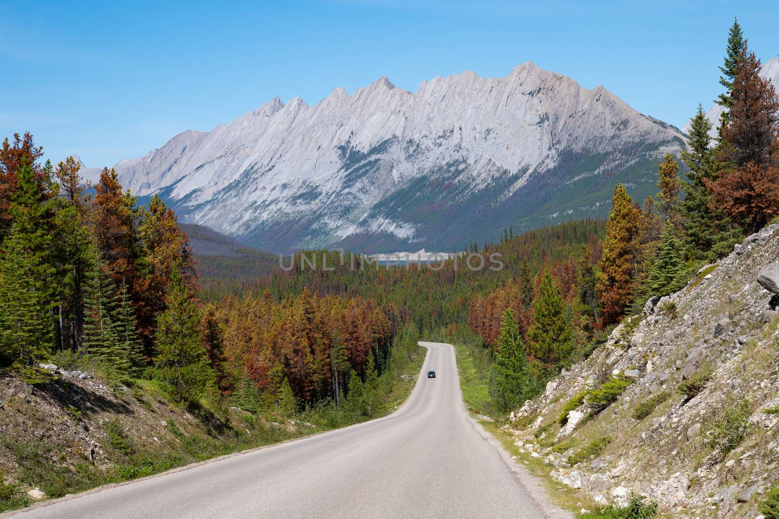 Panoramic image of Jasper National Park, Maligne Road, Alberta, Canada