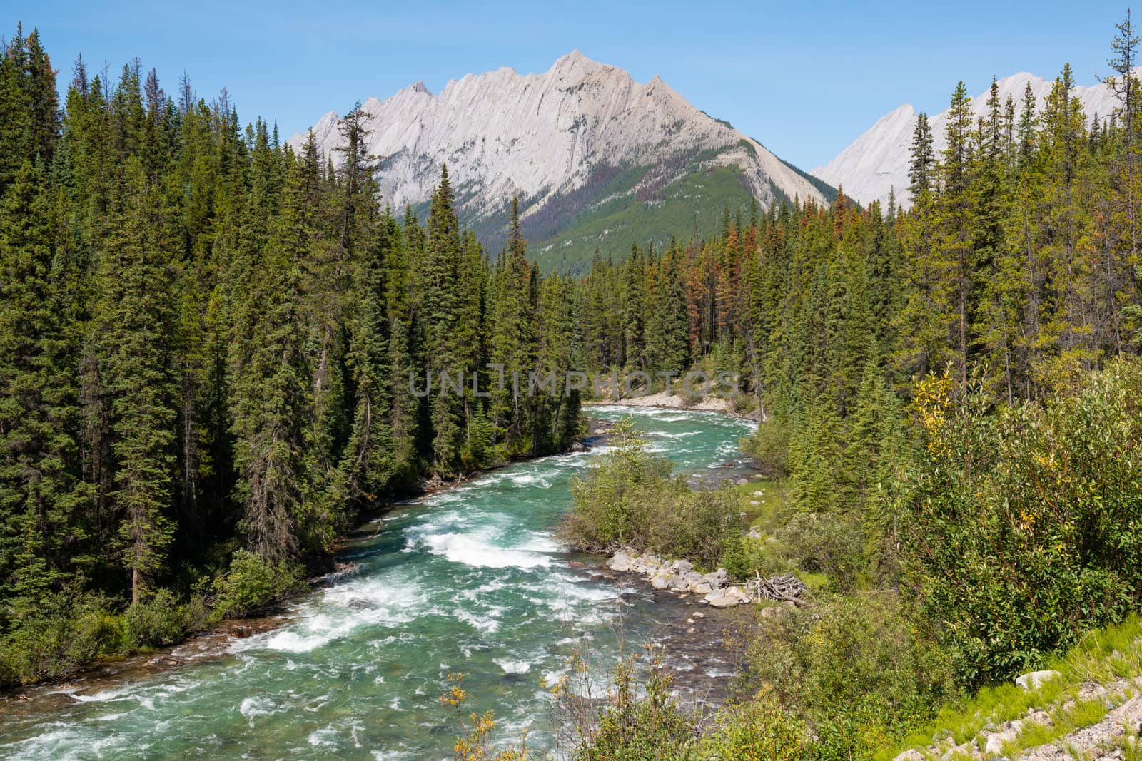 Panoramic image of Jasper National Park, Maligne Road, Alberta, Canada