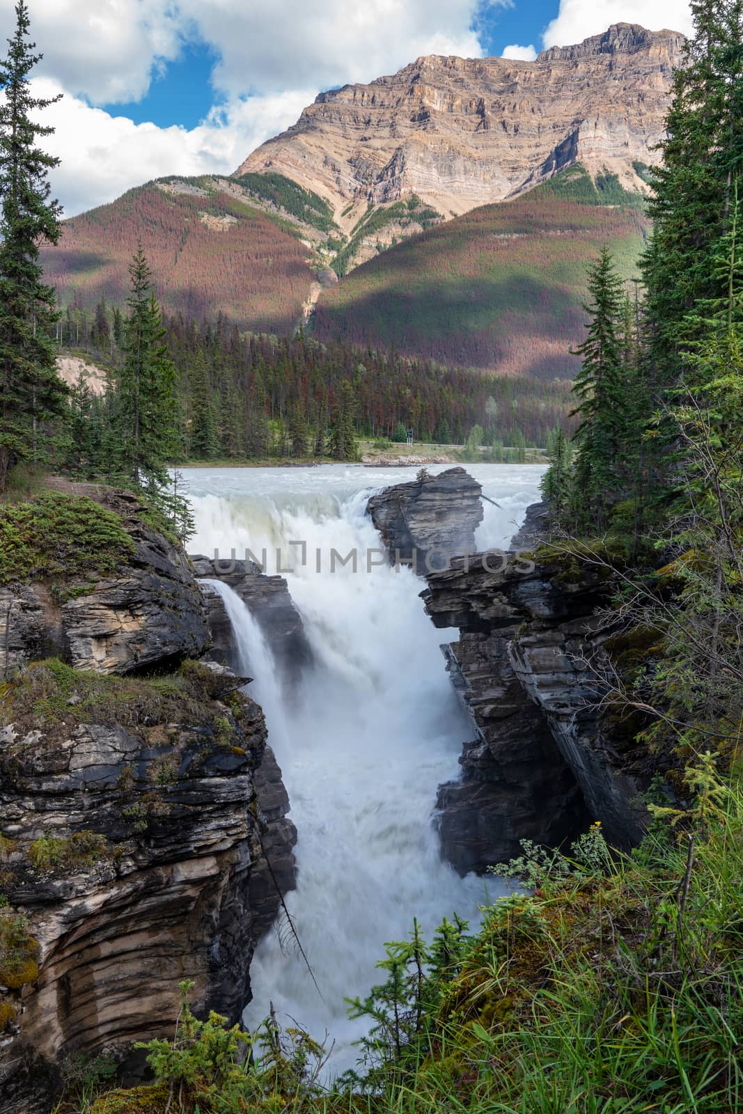 Athabasca Falls, Jasper National Park, Alberta, Canada by alfotokunst