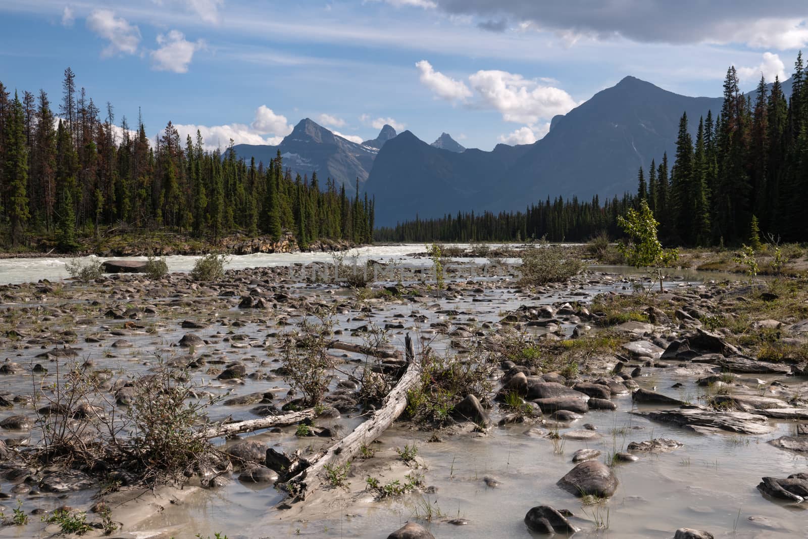 Panoramic image of the Athabasca River, Jasper National Park, Rocky Mountains, Alberta, Canada