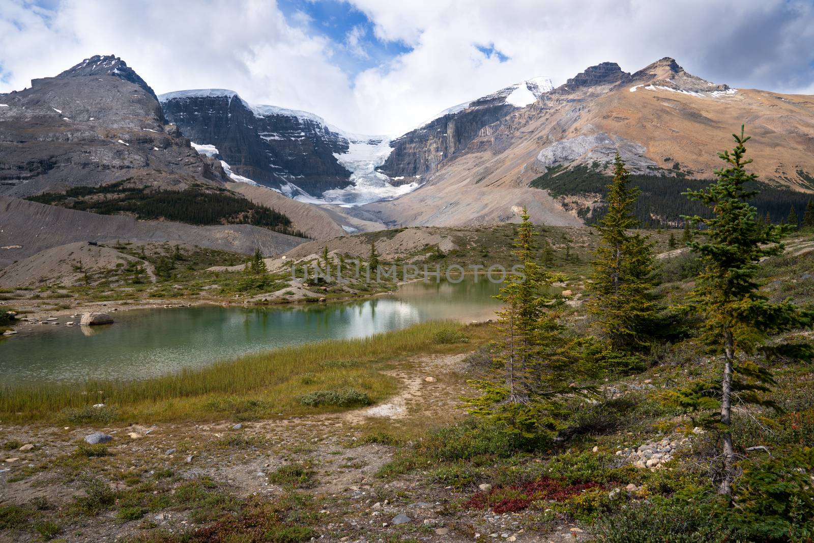 Panoramic image of the Columbia Icefield, Icefield Parkway, Jasper National Park, Alberta, Canada