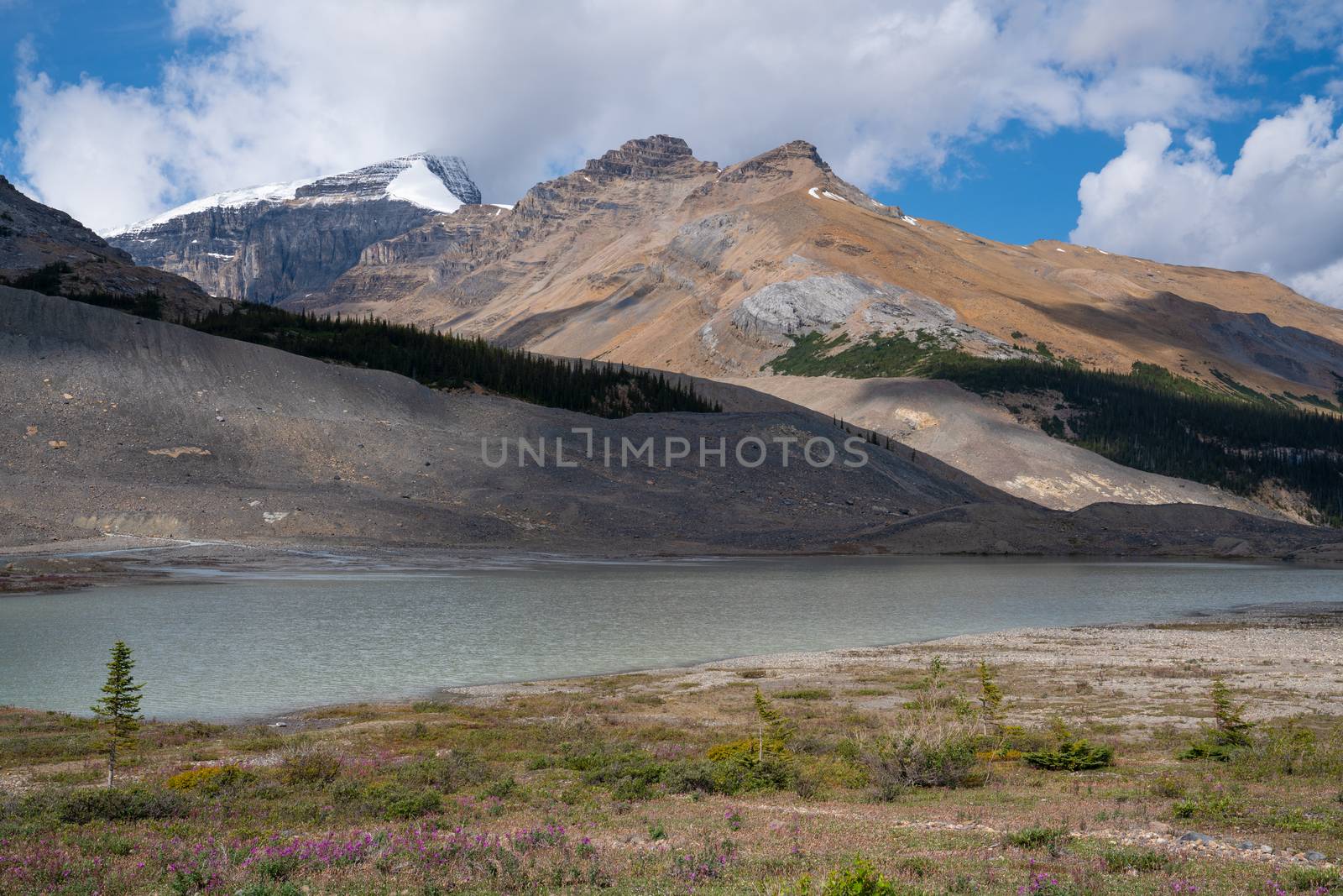 Panoramic image of the Columbia Icefield, Icefield Parkway, Jasper National Park, Alberta, Canada