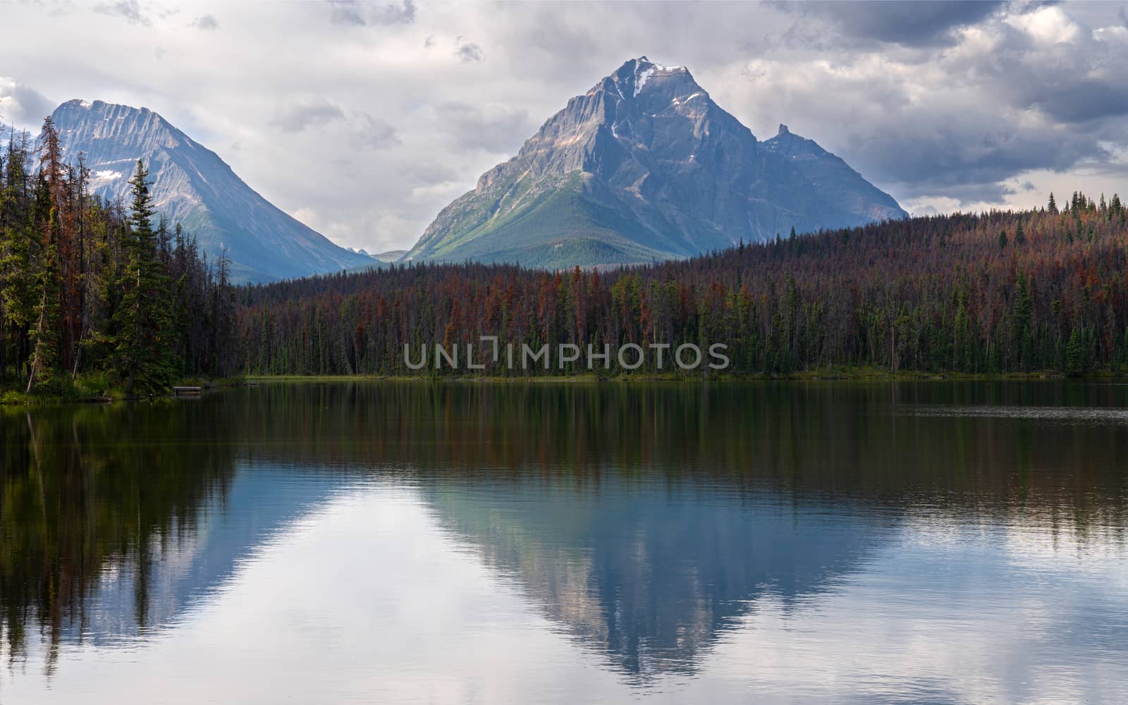 Panoramic image of Leach Lake, Jasper National Park, Alberta, Canada