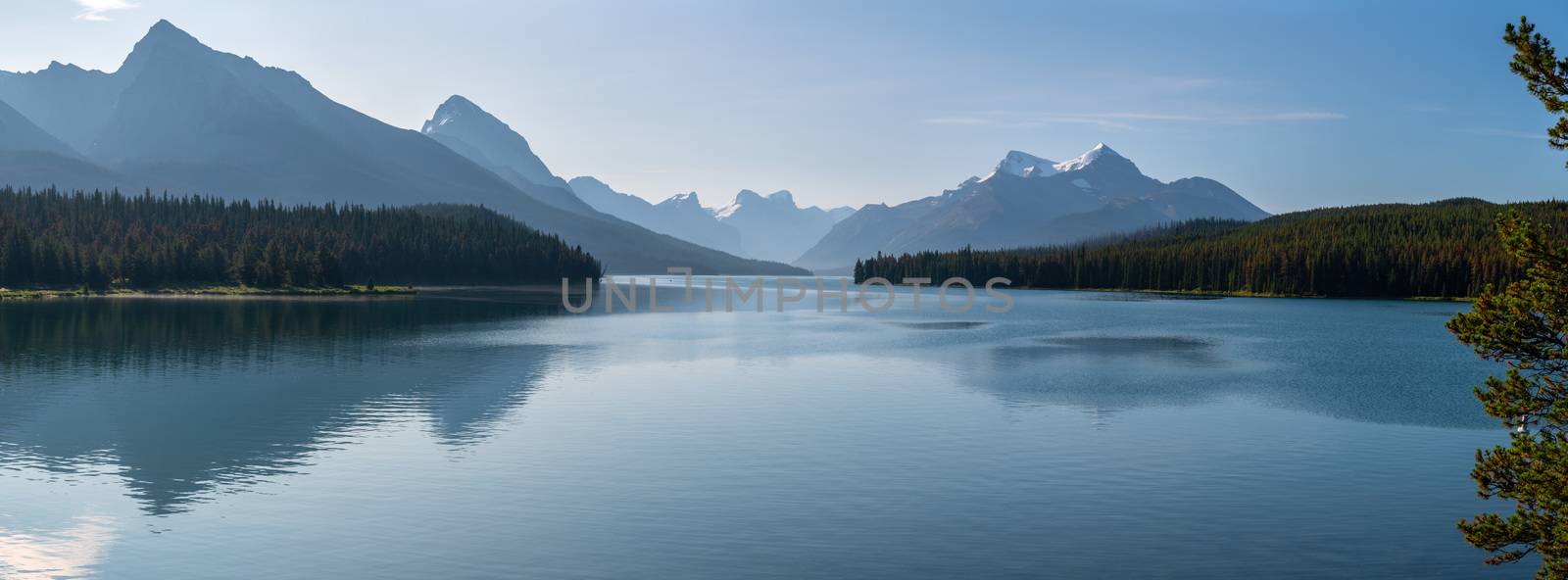 Maligne Lake close to Jasper with early morning mood, Alberta, C by alfotokunst