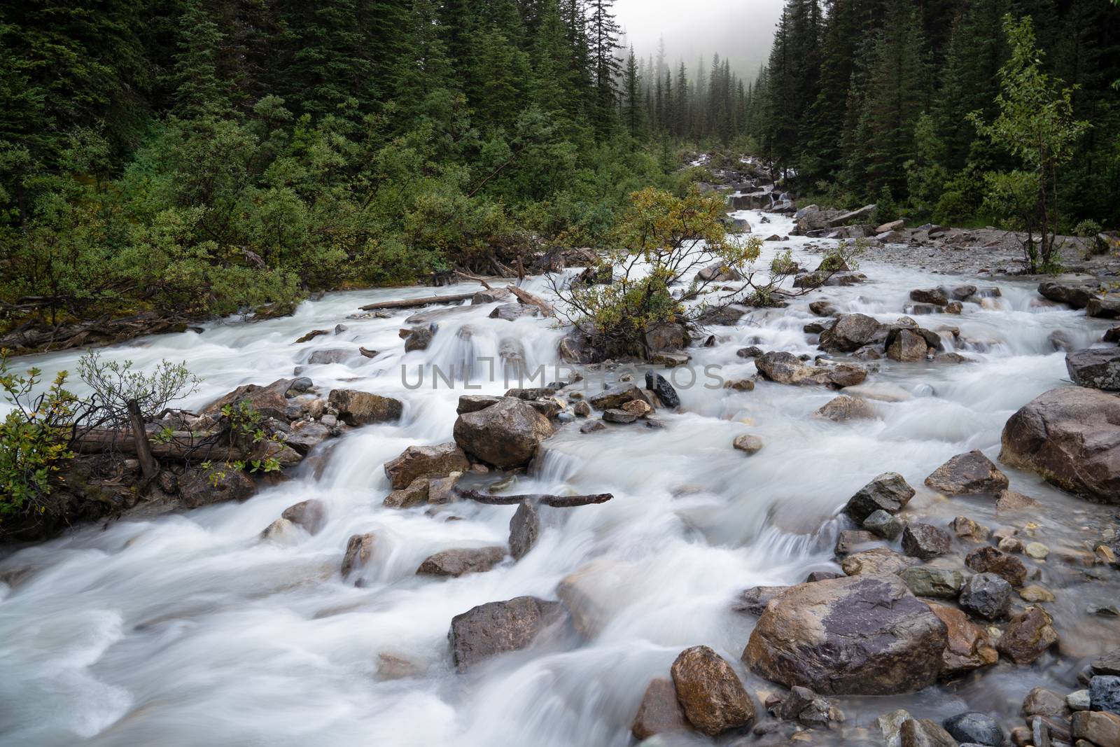 Small creek within the Rocky Mountains close to Lake Louise, Banff National Park, Alberta, Canada
