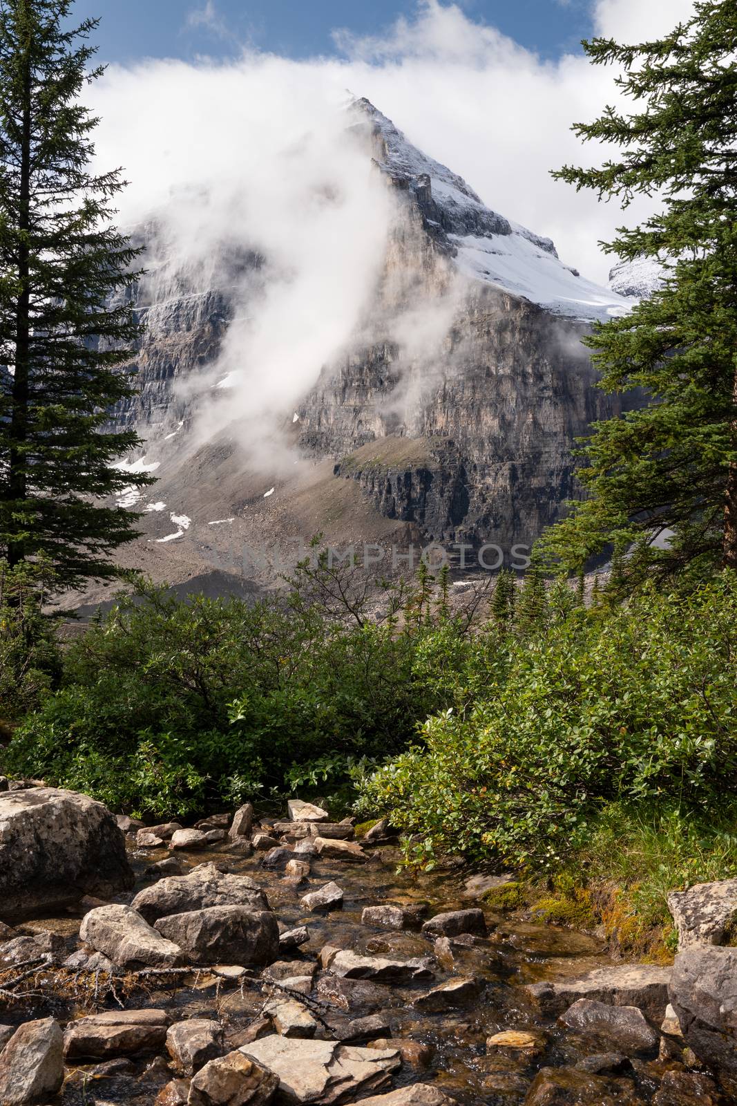 Small creek within the Rocky Mountains close to Lake Louise, Banff National Park, Alberta, Canada