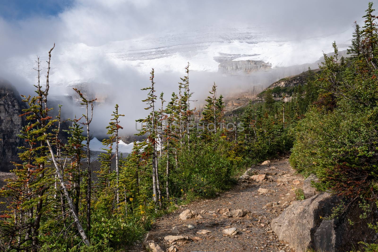 Hiking trail within the Rocky Mountains close to Lake Louise, Banff National Park, Alberta, Canada