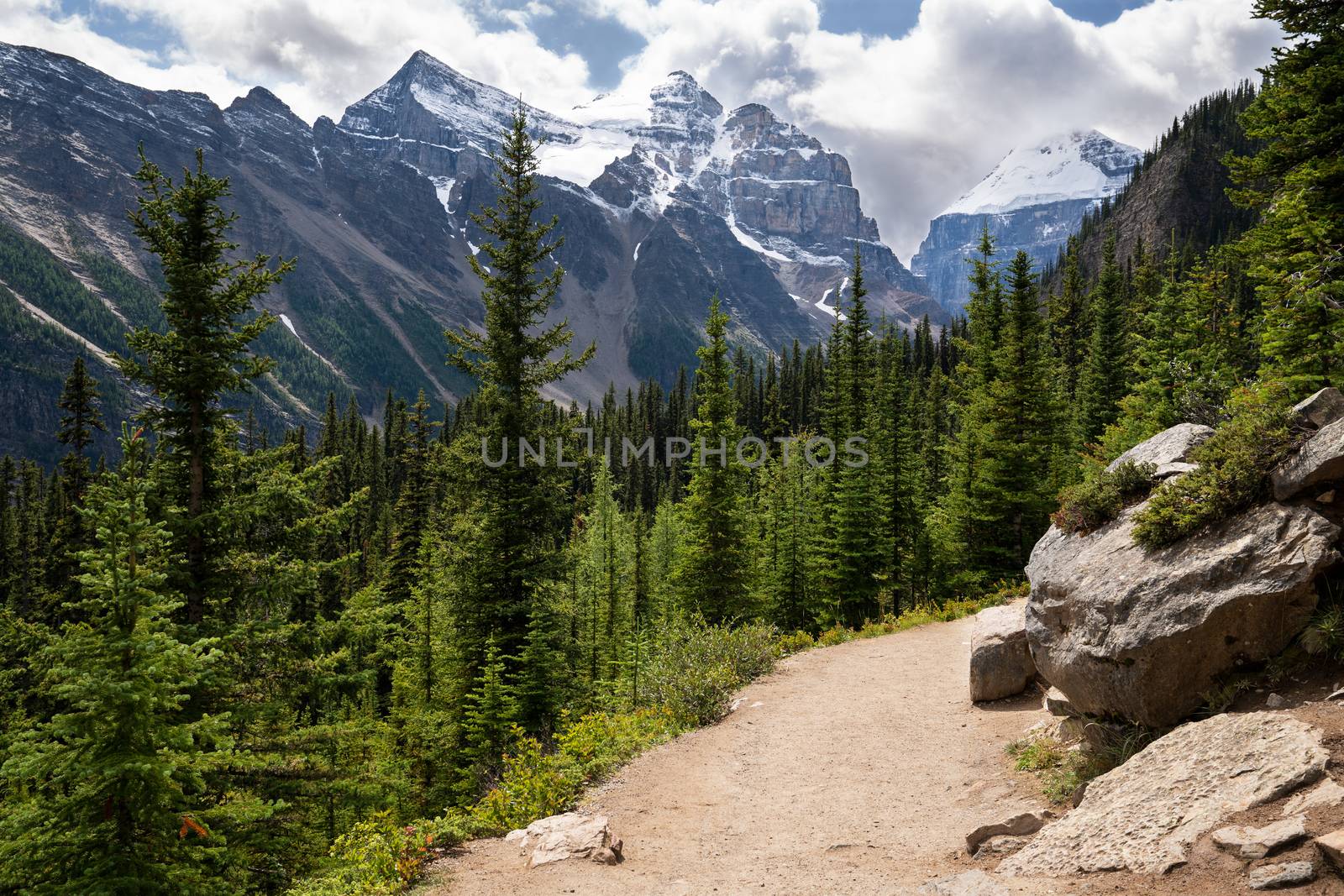Hiking trail within the Rocky Mountains close to Lake Louise, Banff National Park, Alberta, Canada