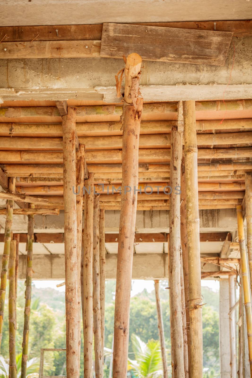 scaffolding eucalyptus wood for small building construction