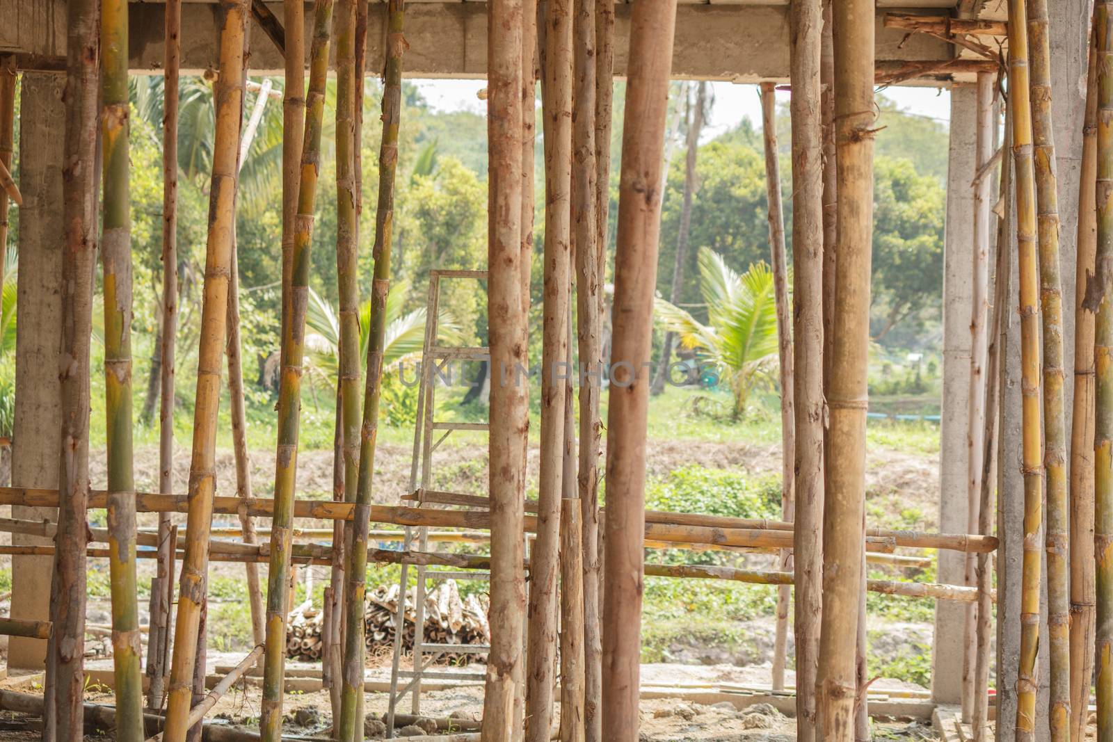 scaffolding eucalyptus wood for small building construction