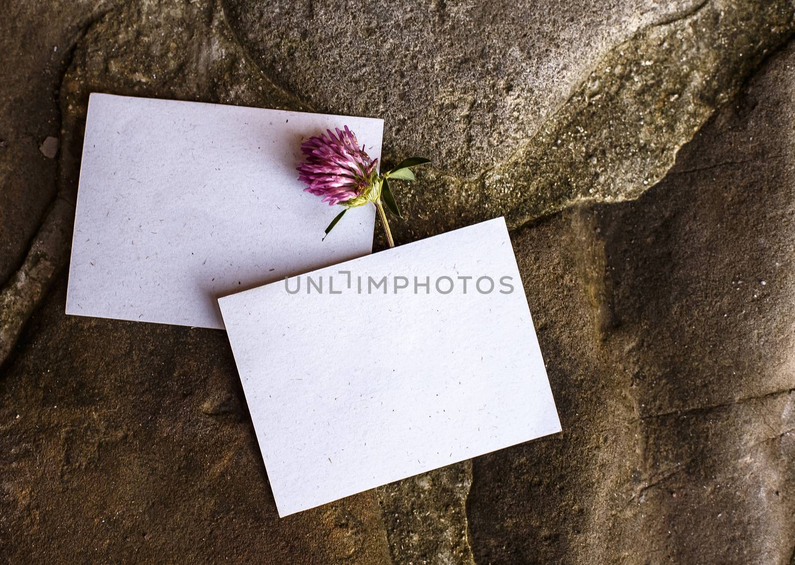 Wedding details flat lay on stone background. Wedding invitation. Ring box. Copyspace. Mock up. Clover