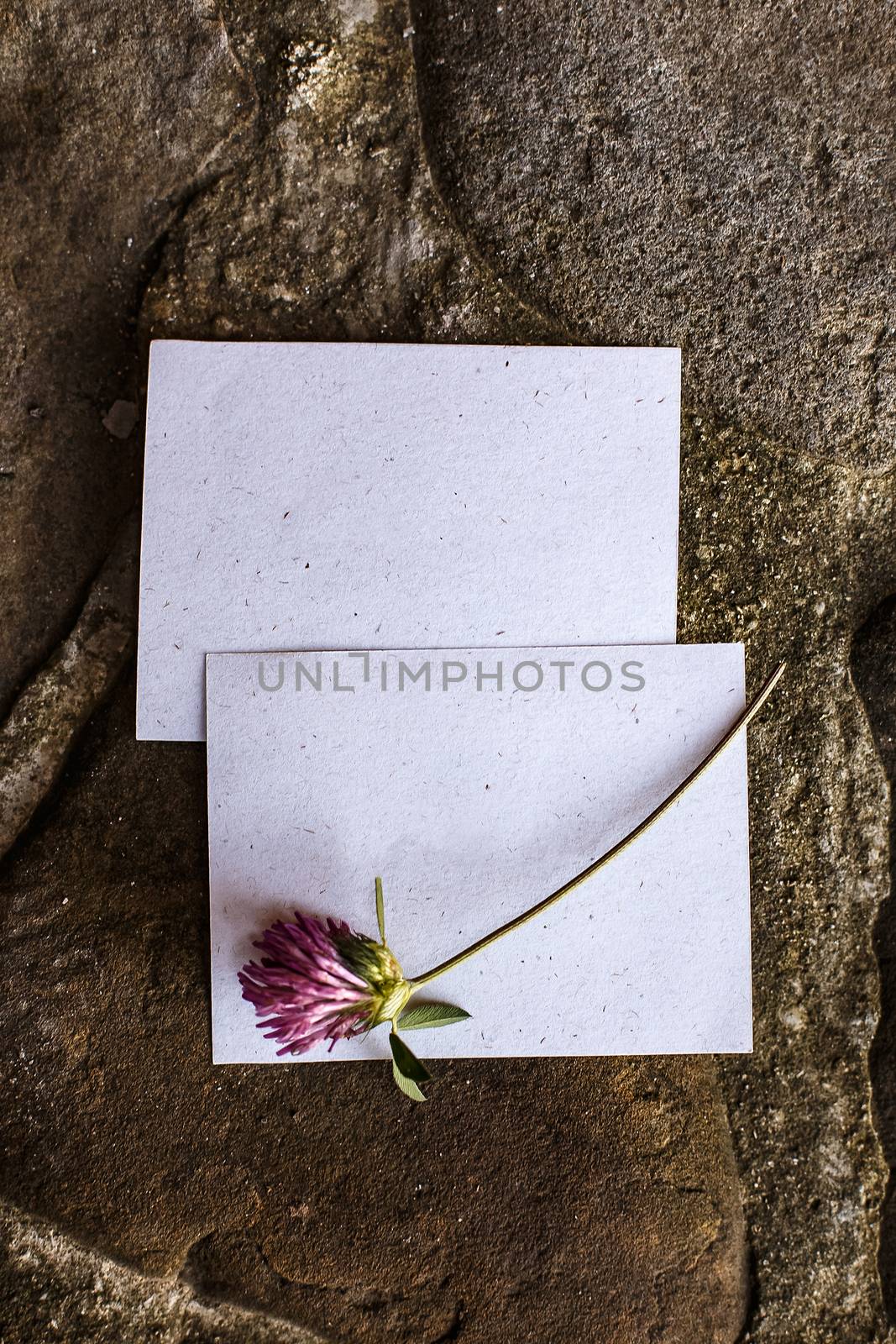 Wedding details flat lay on stone background. Wedding invitation. Ring box. Mock up. Copyspace. Clover. by Denys_N