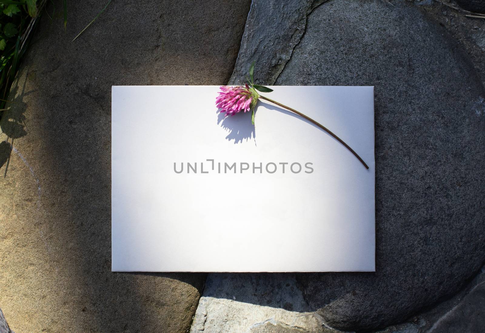 Wedding details flat lay on stone background. Wedding invitation. Ring box. Copyspace. Mock up. Clover